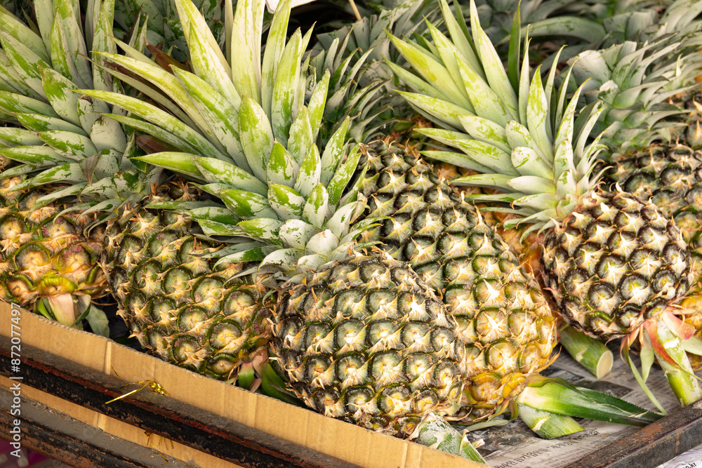 Obraz premium A bunch of pineapples are displayed on a table