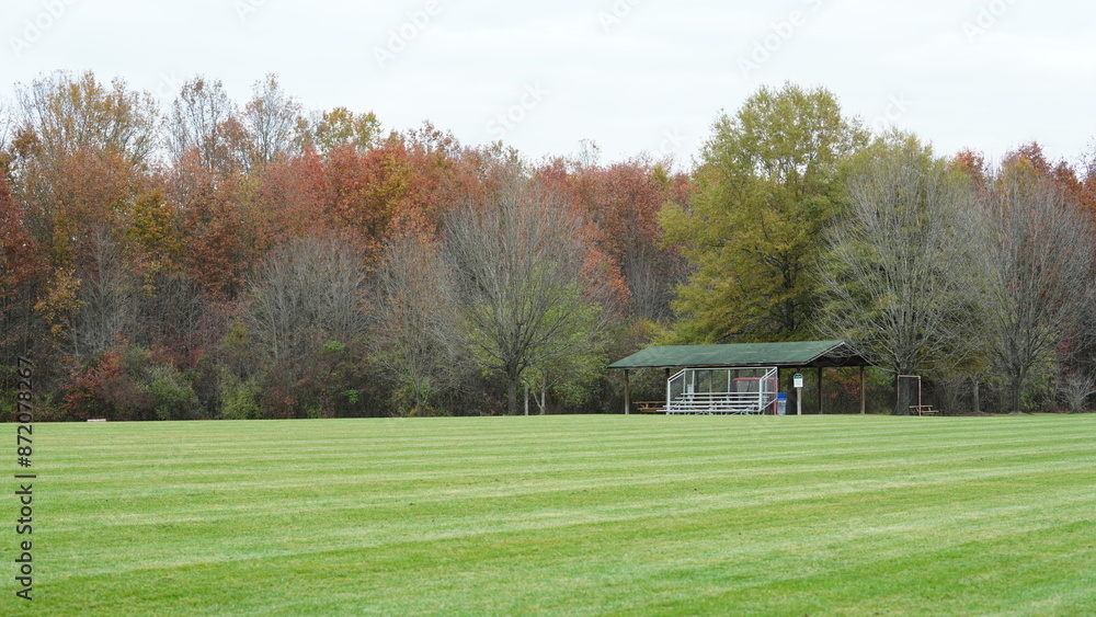 Obraz premium The wide playground view surrounded by the colorful forest woods in autumn