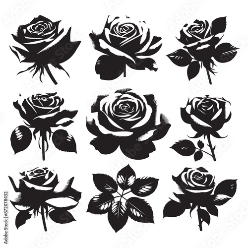 Set of roses silhouettes isolated on a white background, Vector illustration.