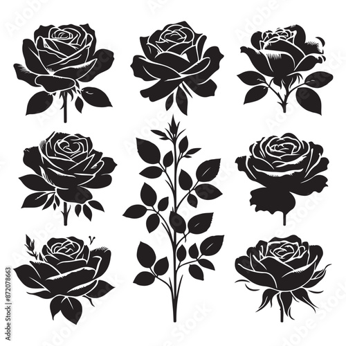 Set of roses silhouettes isolated on a white background, Vector illustration.