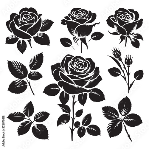 Set of roses silhouettes isolated on a white background, Vector illustration.