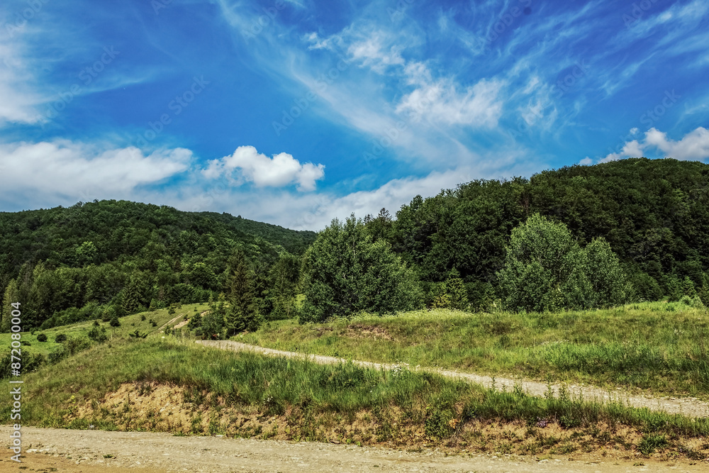 Naklejka premium Landscapes - Forest - Europe, Romania, Suceava region