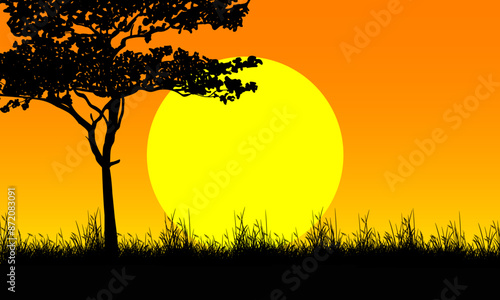 silhouette of trees and grass in the evening with sunset