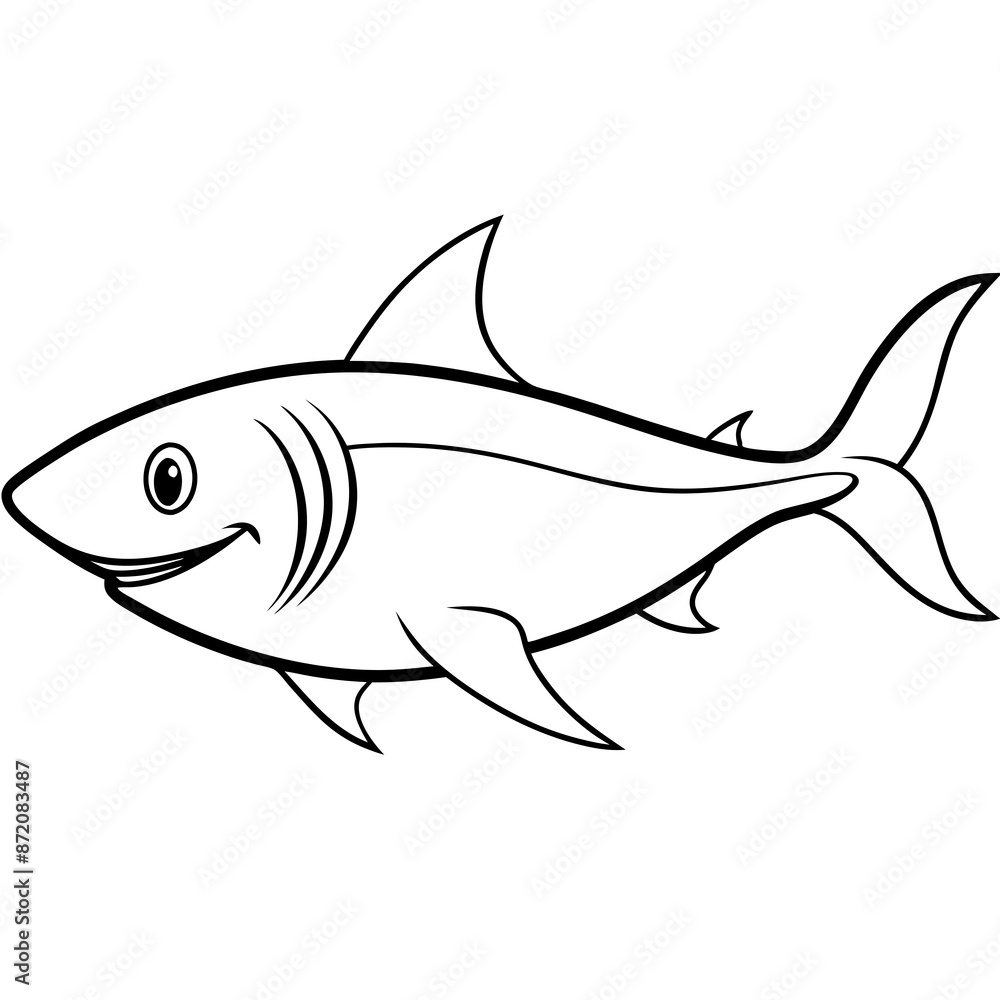 Shark isolated on white Shark isolated on white