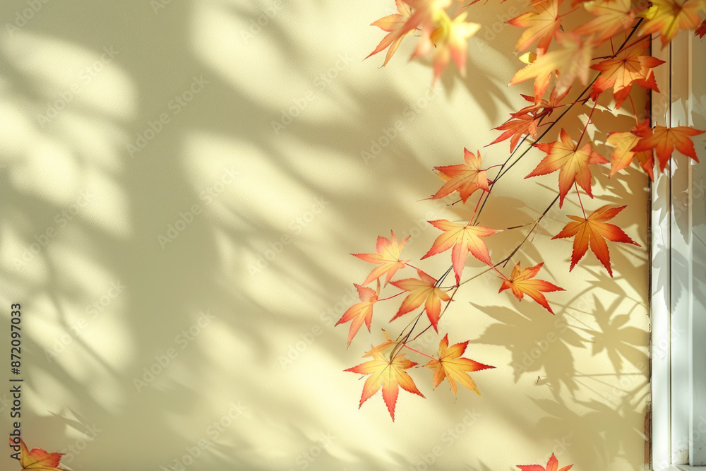 Autumn abstract background with shadow of the maple tree leaves on a wall Autumn abstract background with shadow of the maple tree leaves on a wall