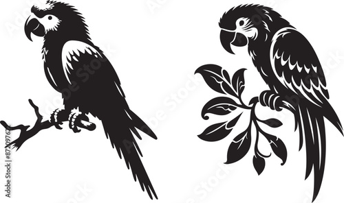 Parrot Silhouette Vector Eps