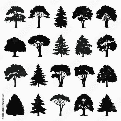 A collection of 20 distinct trees, each with its unique silhouette. These trees range from deciduous varieties with broad canopies to coniferous ones with needle-like leaves. 