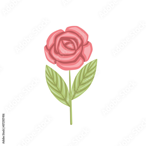 Colored rose drawing, hand drawn vector illustration