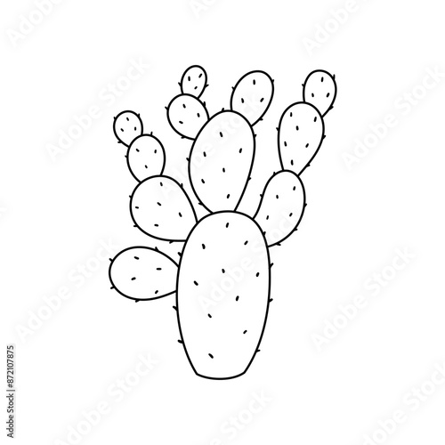 Wild cactus with thorn. Hand drawn illustration in sketch style.