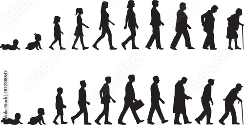 silhouette of Life cycles of man and woman from baby to senior age  vector