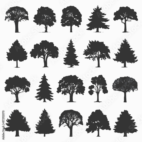 A collection of 20 distinct trees, each with its unique silhouette. These trees range from deciduous varieties with broad canopies to coniferous ones with needle-like leaves. 