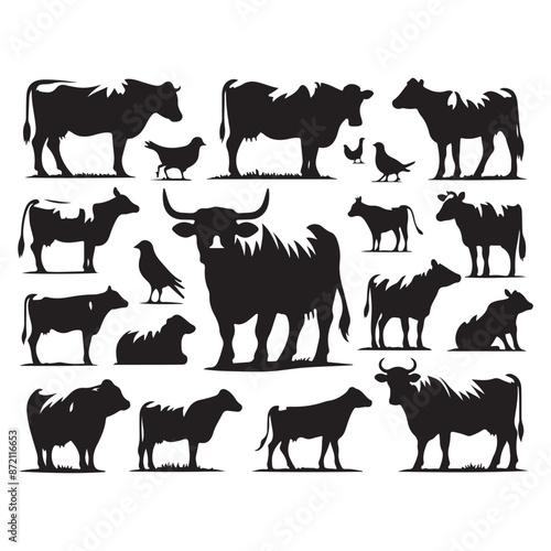 Set of cow silhouettes isolated on a white background, Vector illustration.