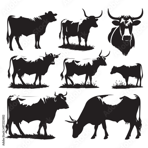 Set of cow silhouettes isolated on a white background, Vector illustration.
