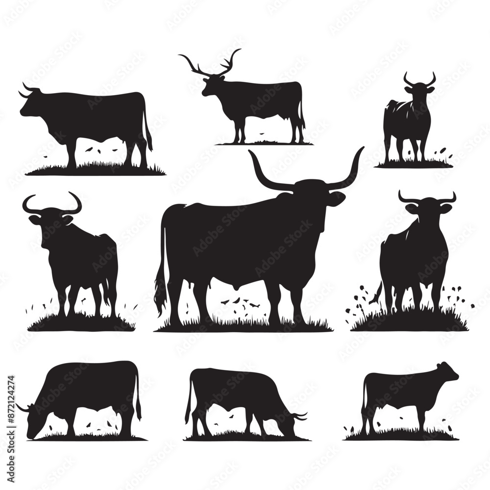 Set of cow silhouettes isolated on a white background, Vector illustration. Set of cow silhouettes isolated on a white background, Vector illustration.