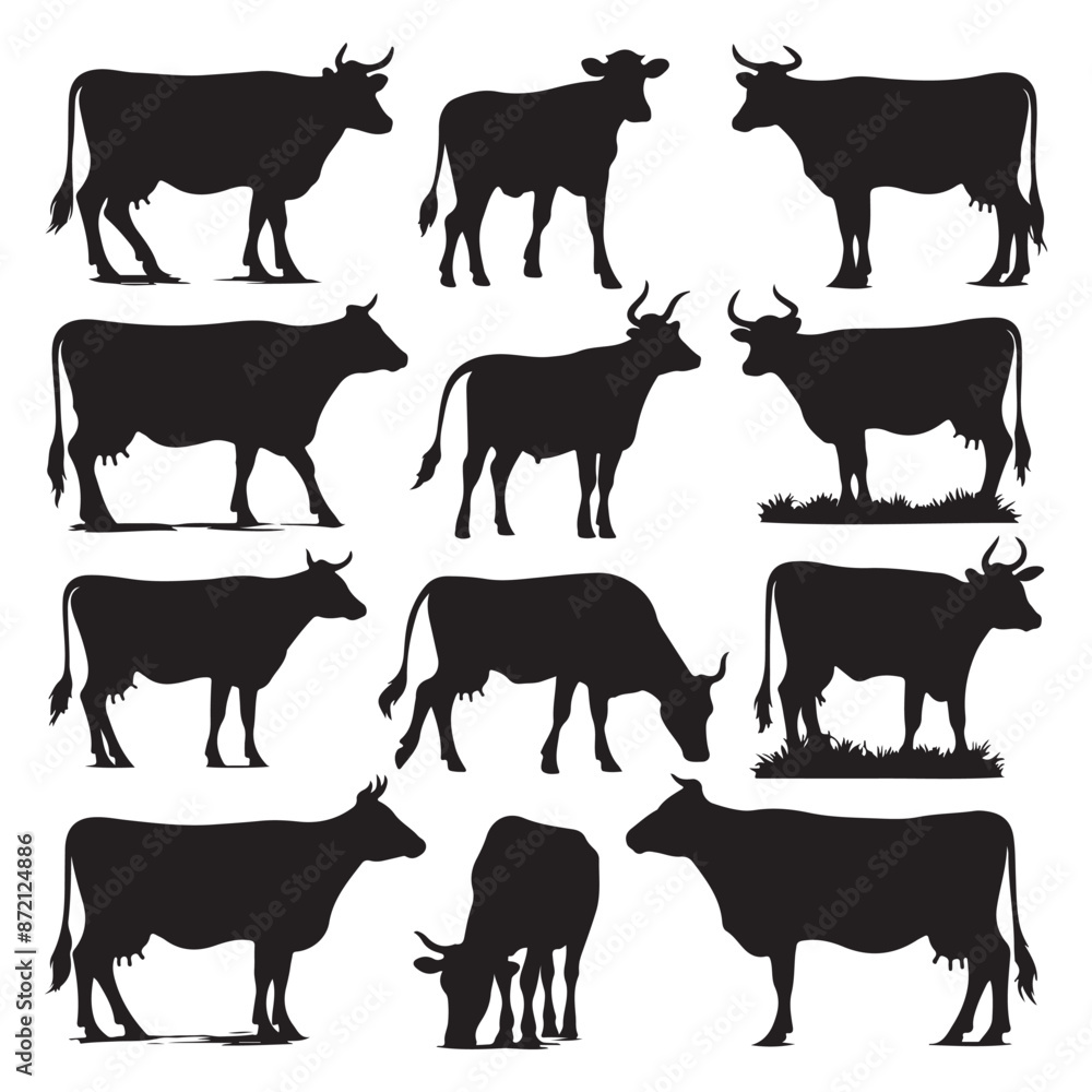 Set of cow silhouettes isolated on a white background, Vector illustration. Set of cow silhouettes isolated on a white background, Vector illustration.