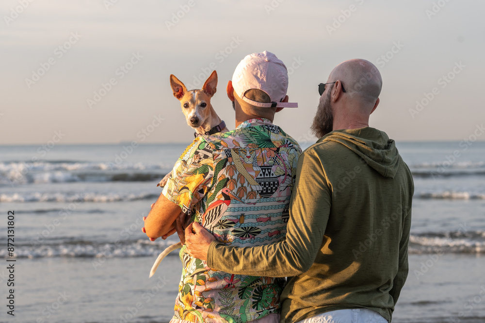 Fototapeta premium homosexual couple back to back with their dog on their lap looking at the camera, on the beach