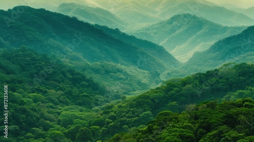 Tranquil Green Mountains in the Mist