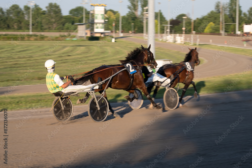 Trotting racehorses and rider on a stadium track. Competitions for trotting horse racing. Horses compete in harness racing. Horse running on the track with the rider at sunset.
Trotting racehorses and rider on a stadium track. Competitions for trotting horse racing. Horses compete in harness racing. Horse running on the track with the rider at sunset.