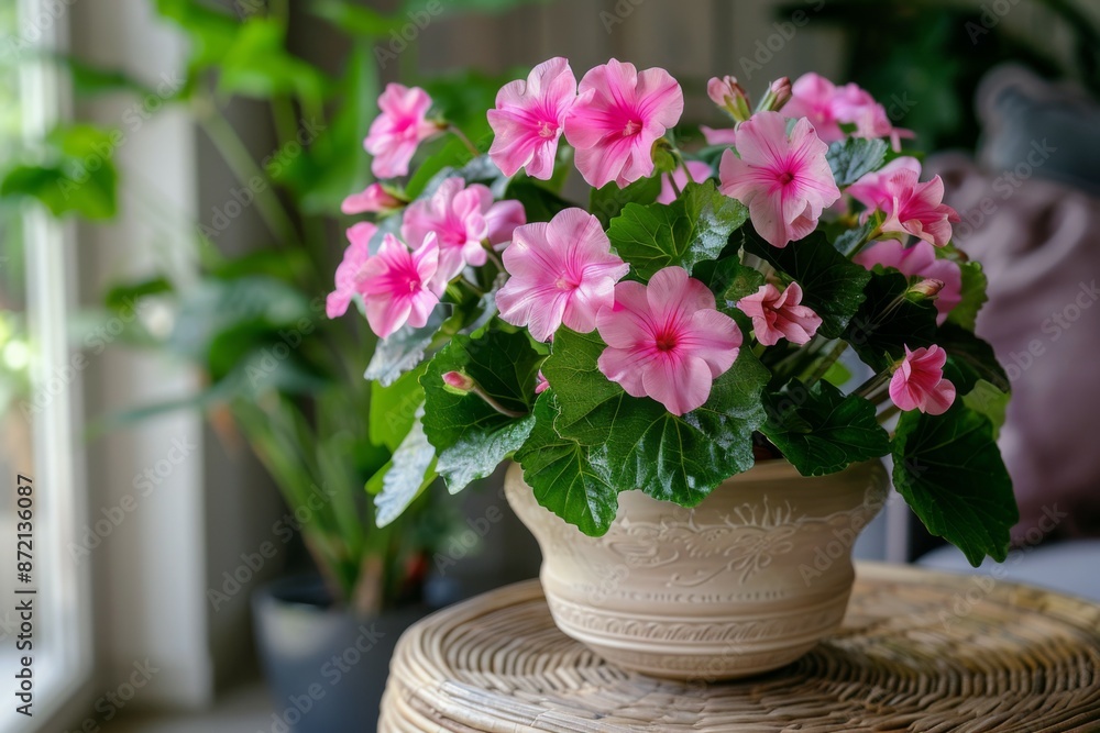 custom made wallpaper toronto digitalPink Flowers in Ceramic Pot