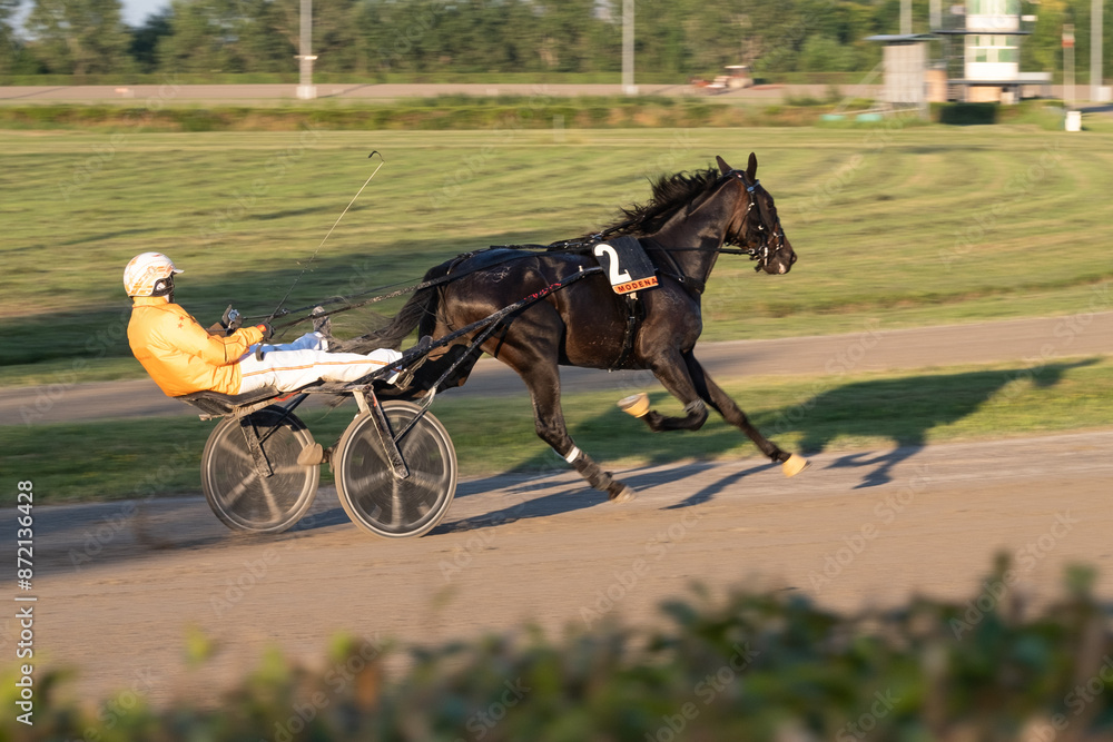 Racing horses trots and rider on a track of stadium. Competitions for trotting horse racing. Horses compete in harness racing. Horse runing at the track with rider.
Racing horses trots and rider on a track of stadium. Competitions for trotting horse racing. Horses compete in harness racing. Horse runing at the track with rider.