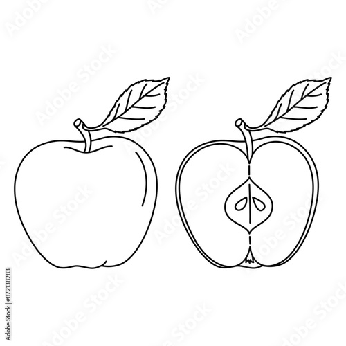 020Whole and half apple with a leaf line art drawing coloring page. Ripe apple black and white vector illustration. Hand drawn doodle style.