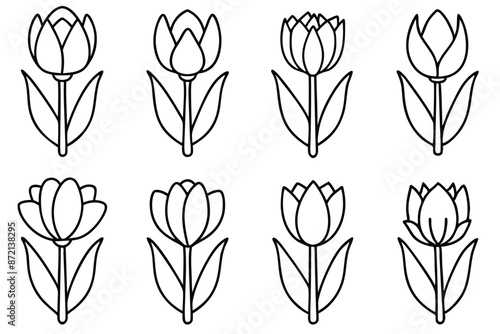 Tulip flower line art Detailed tulip outlines with artistic flair