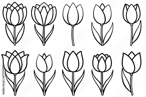 Tulip flower line art Elegant floral renditions with finesse