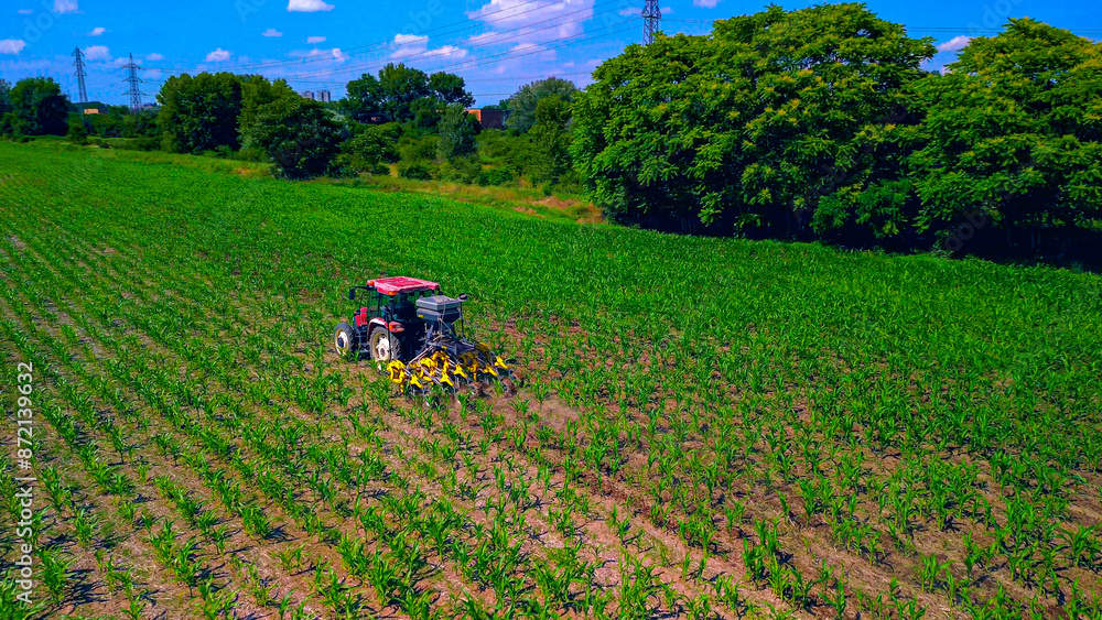 Aerial view of green fields with corn. Flying a drone over a red tractor cultivating land. Fgriculture. energy. Agricultural work. Harvest. Green Planet Bio products. Italy lombardia Milan 09.07.2024 Aerial view of green fields with corn. Flying a drone over a red tractor cultivating land. Fgriculture. energy. Agricultural work. Harvest. Green Planet Bio products. Italy lombardia Milan 09.07.2024