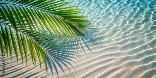 tropical leaf shadow on water surface shadow of palm leaves on white sand beach beautiful abstract background concept banner for summer vacation at the beach