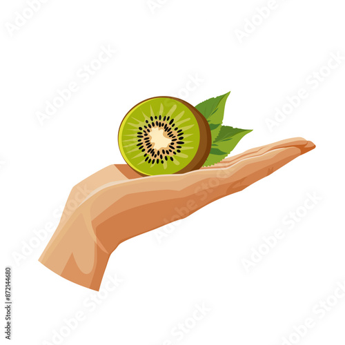 green kiwi in the palm isolated on white background. Vector fruit clipart in flat style for design