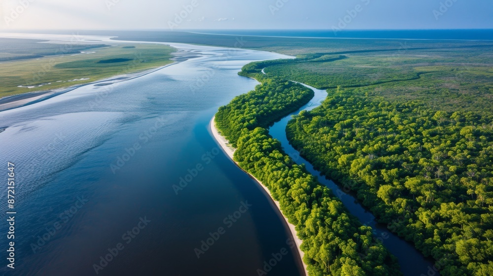 High-resolution aerial view capturing the point where a river meets the sea, isolated on a white background High-resolution aerial view capturing the point where a river meets the sea, isolated on a white background