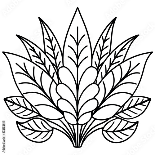 Large floral components in line art are featured in the coloring pages of the botanical mural design.