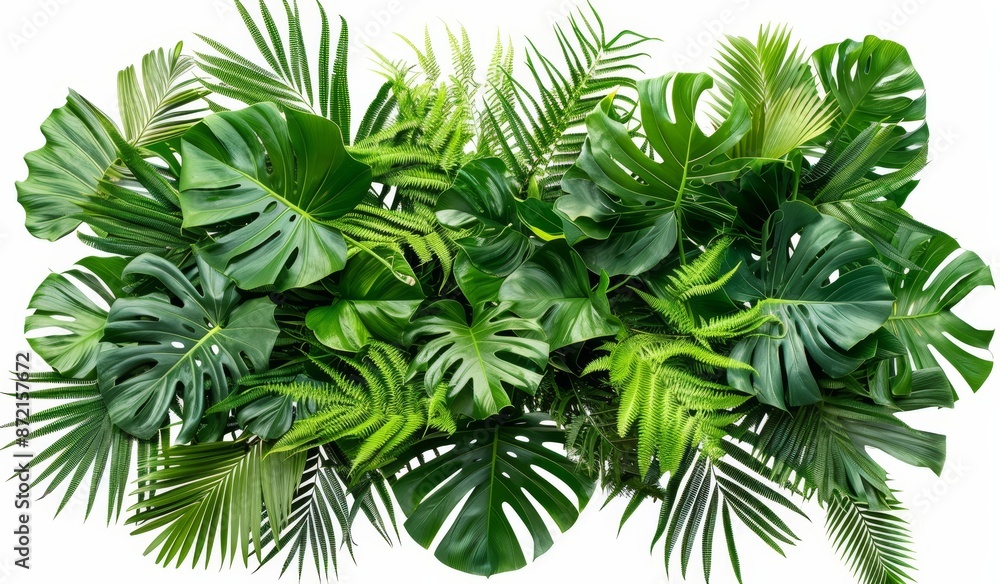 Floral arrangement of jungle foliage plant bush Floral arrangement of jungle foliage plant bush