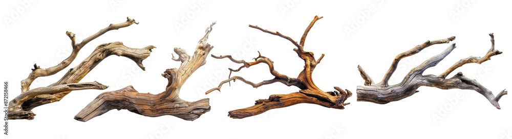 Set of Driftwood cut out transparent isolated on white background PNG file Set of Driftwood cut out transparent isolated on white background PNG file