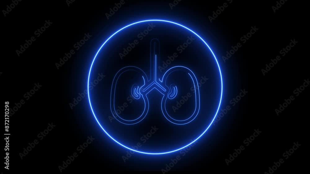 Neon kidney icon in a line style for humans. kidney-line symbol. Neon kidney icon in a line style for humans. kidney-line symbol.
