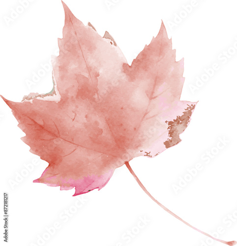 A watercolor painting of a leaf with a pink hue