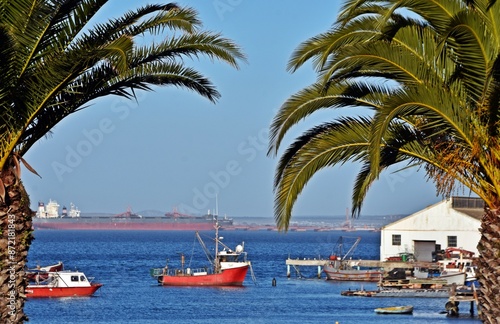 Landscape with fishing boats in Saldanha Bay photo