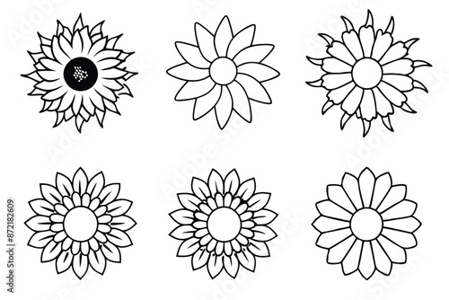 Sunflower flower line art Artistic sunflower sketches with finesse