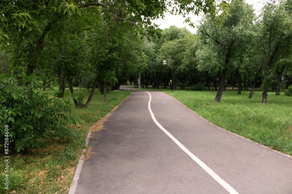 Fototapeta premium path in the park