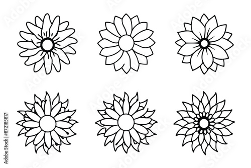 Sunflower flower line art Minimalist sketches of sunflowers