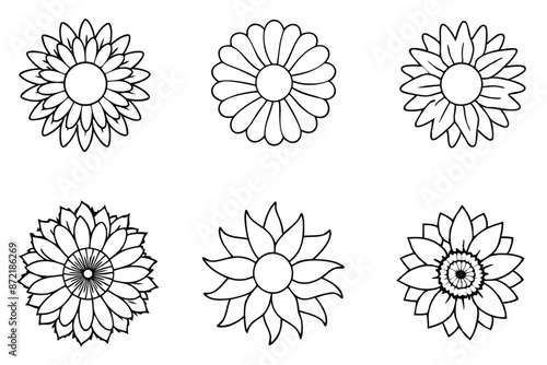 Sunflower flower line art Minimalist sunflower sketches in detail