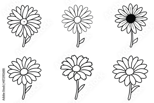 Daisy flower line art Artistic daisy sketches with finesse