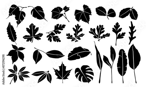 twigs black leaf icon set. black twig leaves. Collection of vector icons of twigs with leaves on a white background