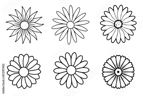 Daisy flower line art Fine-lined daisy illustrations capture essence