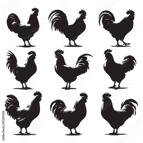 Set of Chicken silhouettes isolated on a white background, Vector illustration.