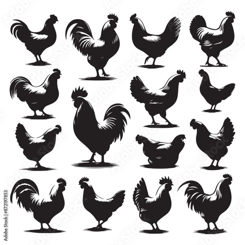 Set of Chicken silhouettes isolated on a white background, Vector illustration.