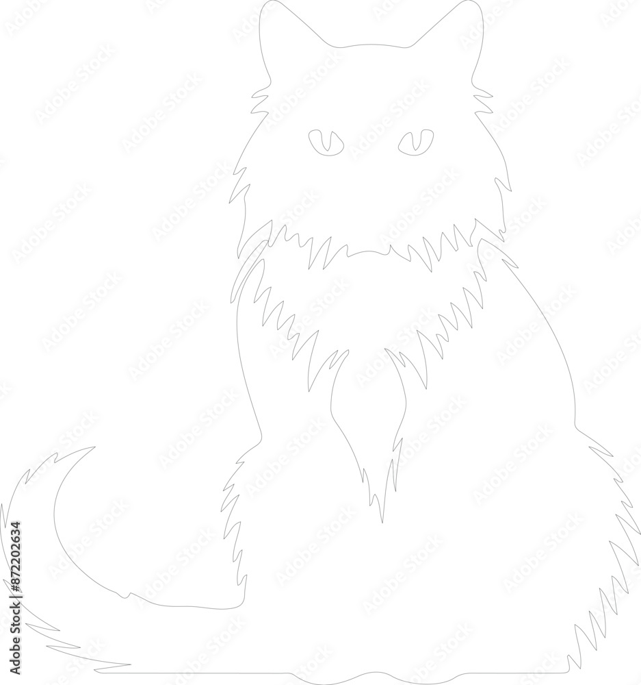 Obraz premium Birman Cat outline