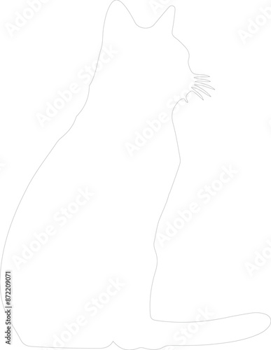 Havana Brown Cat outline