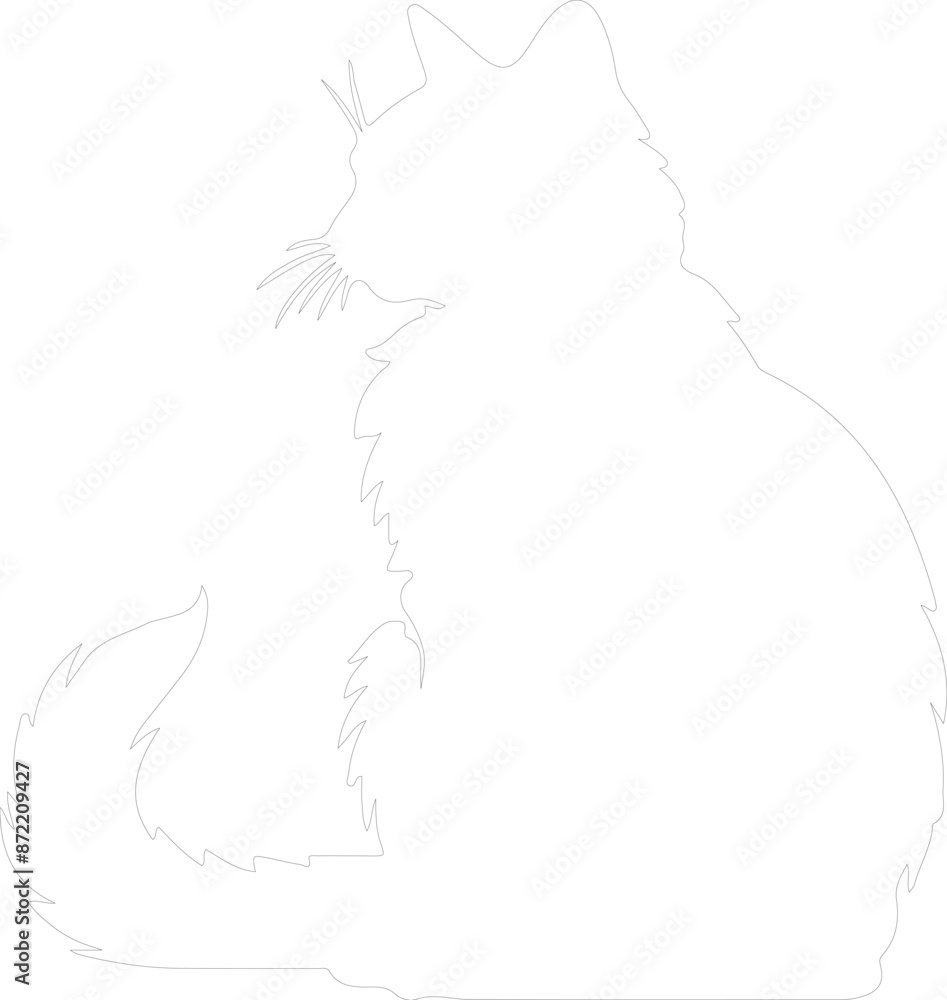 Fototapeta premium Highlander Cat outline