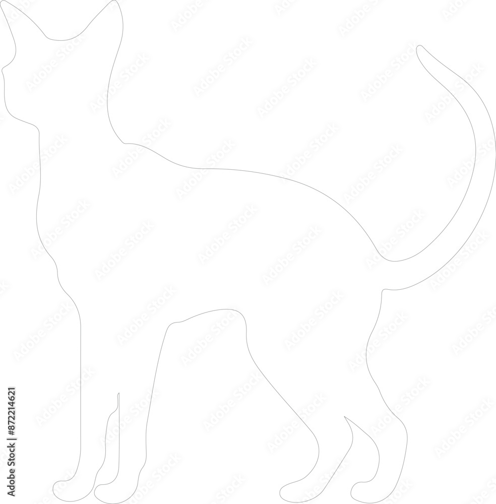 Oriental Shorthair Cat outline Oriental Shorthair Cat outline